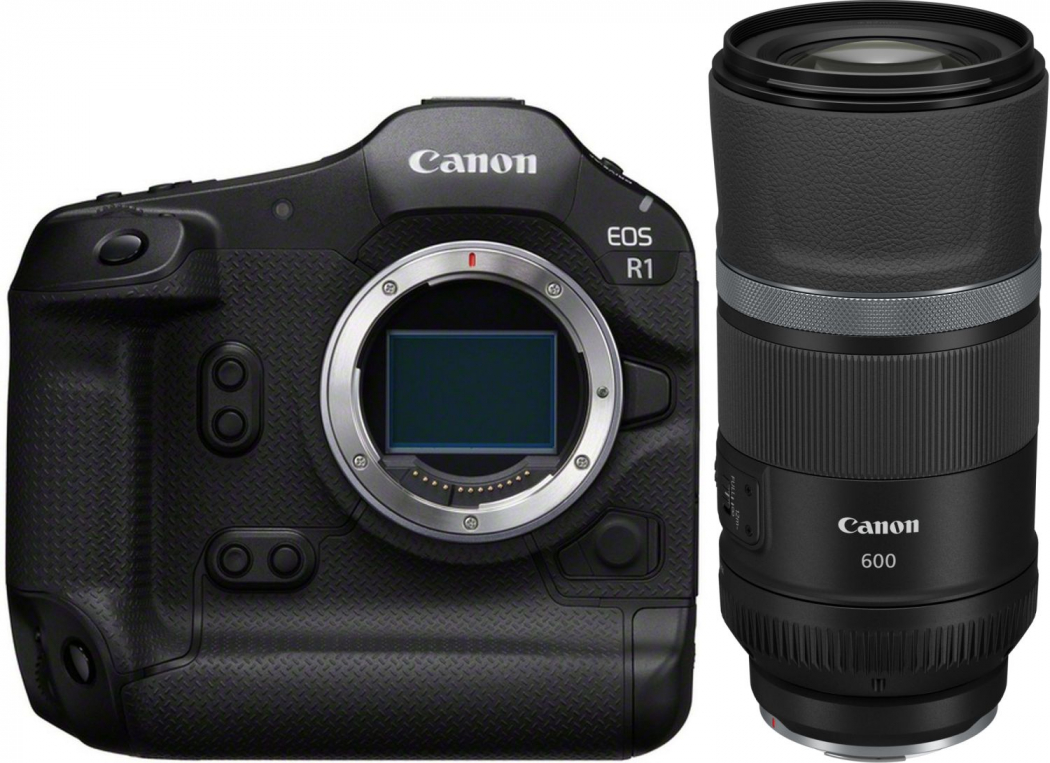 Canon EOS R1 + RF 600mm f11 IS STM