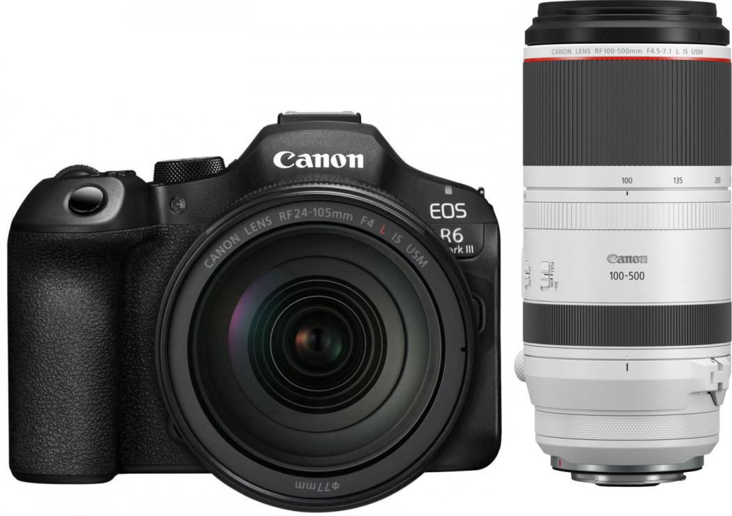 Canon EOS R6 III + 24-105mm f4 L IS USM + 100-500mm f4,5-7,1 L IS USM