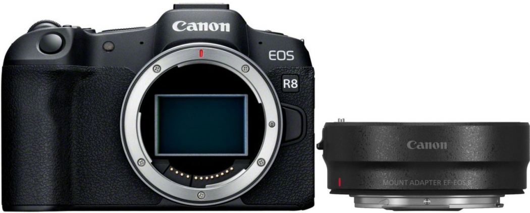Canon EOS R8 + Bajonettadapter EF-EOS R -200,00€ Autumn Nature Warenkorb-Aktion 1.299,99 Effektivpreis