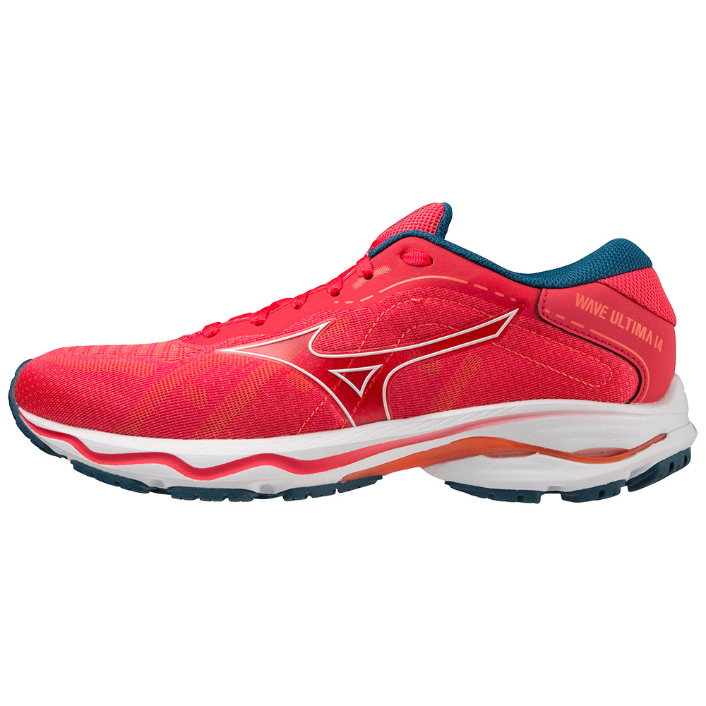 Laufschuhe Frau Mizuno Wave Ultima 14