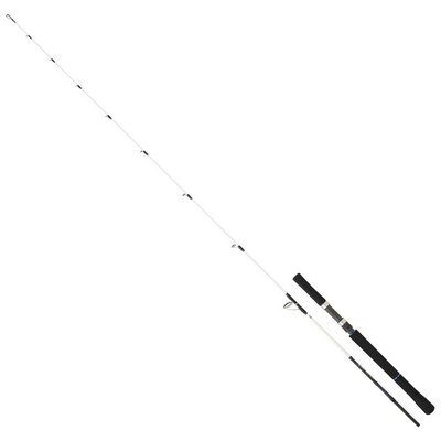 Spinnrute Daiwa Saltist VJ 63 HS OS 90-210g