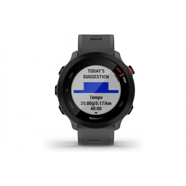 Smartwatch Garmin Forerunner 55 42 mm