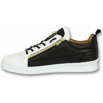 Cash Money  Sneaker Sneaker Bee Black White Gold CMS