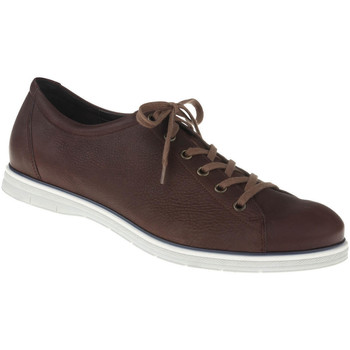 Lui By Tessamino Sneaker Schnürer Enrico Farbe: braun