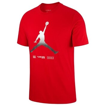 Nike T-Shirt Jordan Legacy AJ11