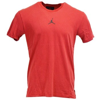 Nike T-Shirt Air Jordan Drifit
