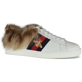 Gucci Sneaker -