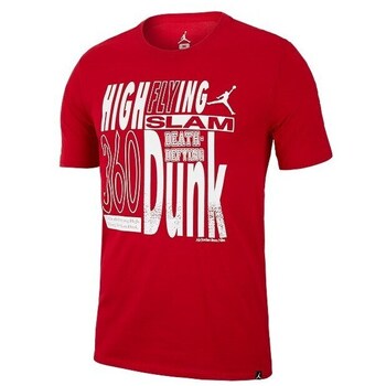 Nike T-Shirt Air Jordan Dry Graphic 3
