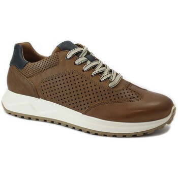 IgI&CO Sneaker IGI-E25-7634722-TA