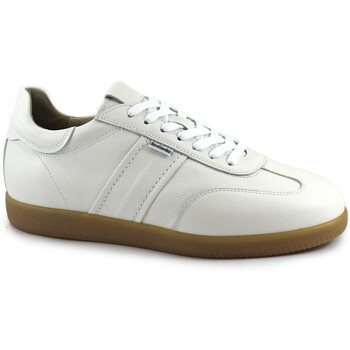 NeroGiardini Sneaker NGU-E25-0686-707