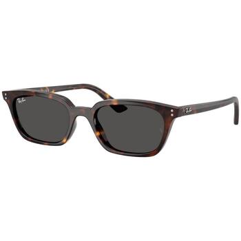 Ray-ban Sonnenbrillen ZAYA UNISEX 0RB4456 135987