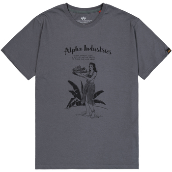 Alpha Industries T-Shirts & Poloshirts Alpha Hawaii T-Shirt - vintage grey