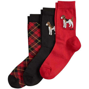 Lauren Ralph Lauren  Sportstrümpfe Calzini