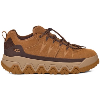 UGG  Sneaker CapTrail Low Chestnut