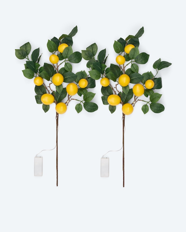 2 LED-Leuchtzweige 'Zitronen'