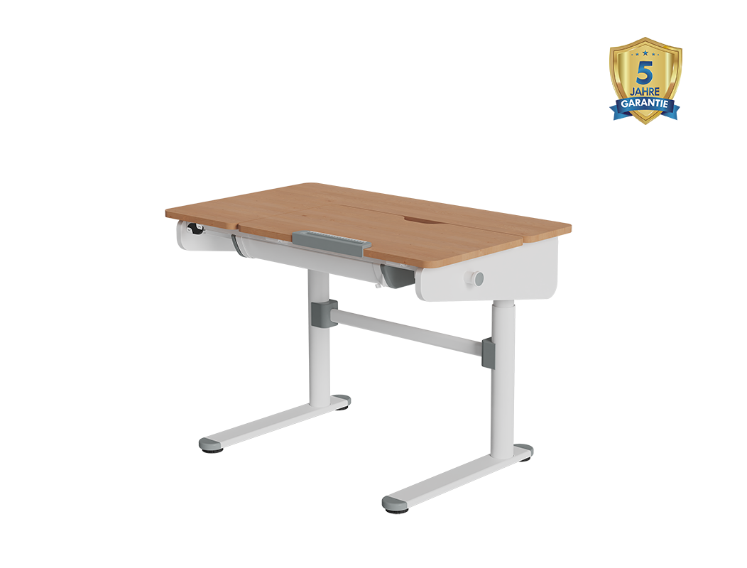 Elektrisch Verstellbarer Kinderschreibtisch SD2