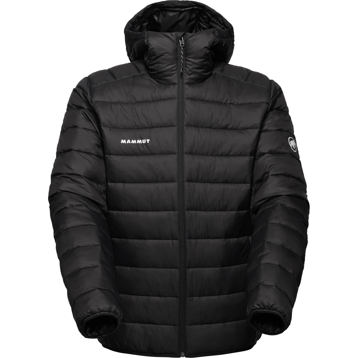 Mammut Herren Crag In Hoodie Jacke