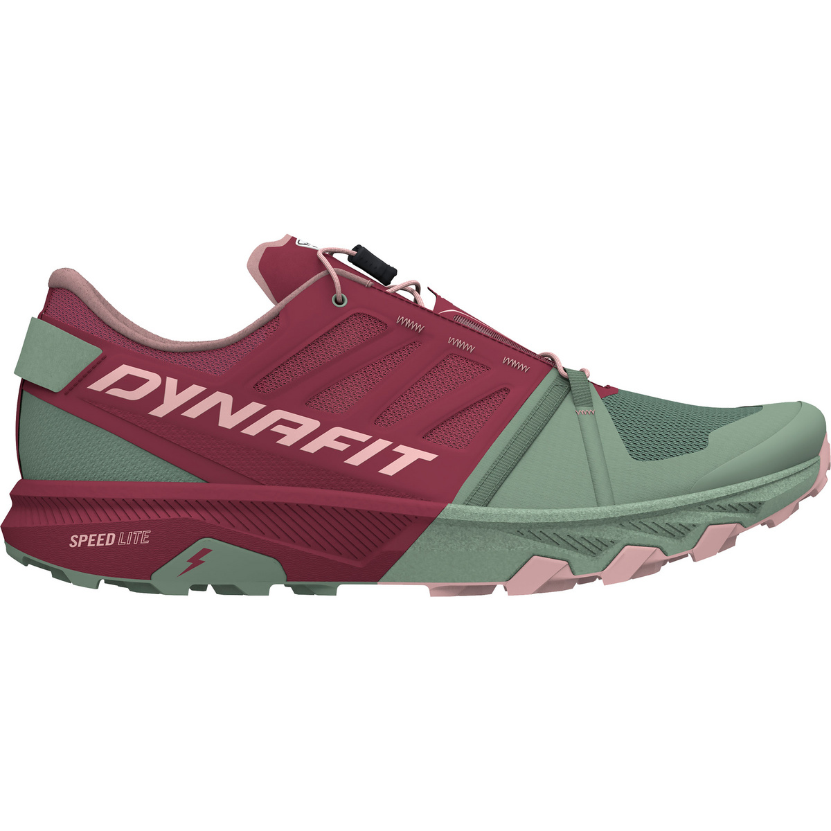 Dynafit Damen Alpine Pro 2 Schuhe