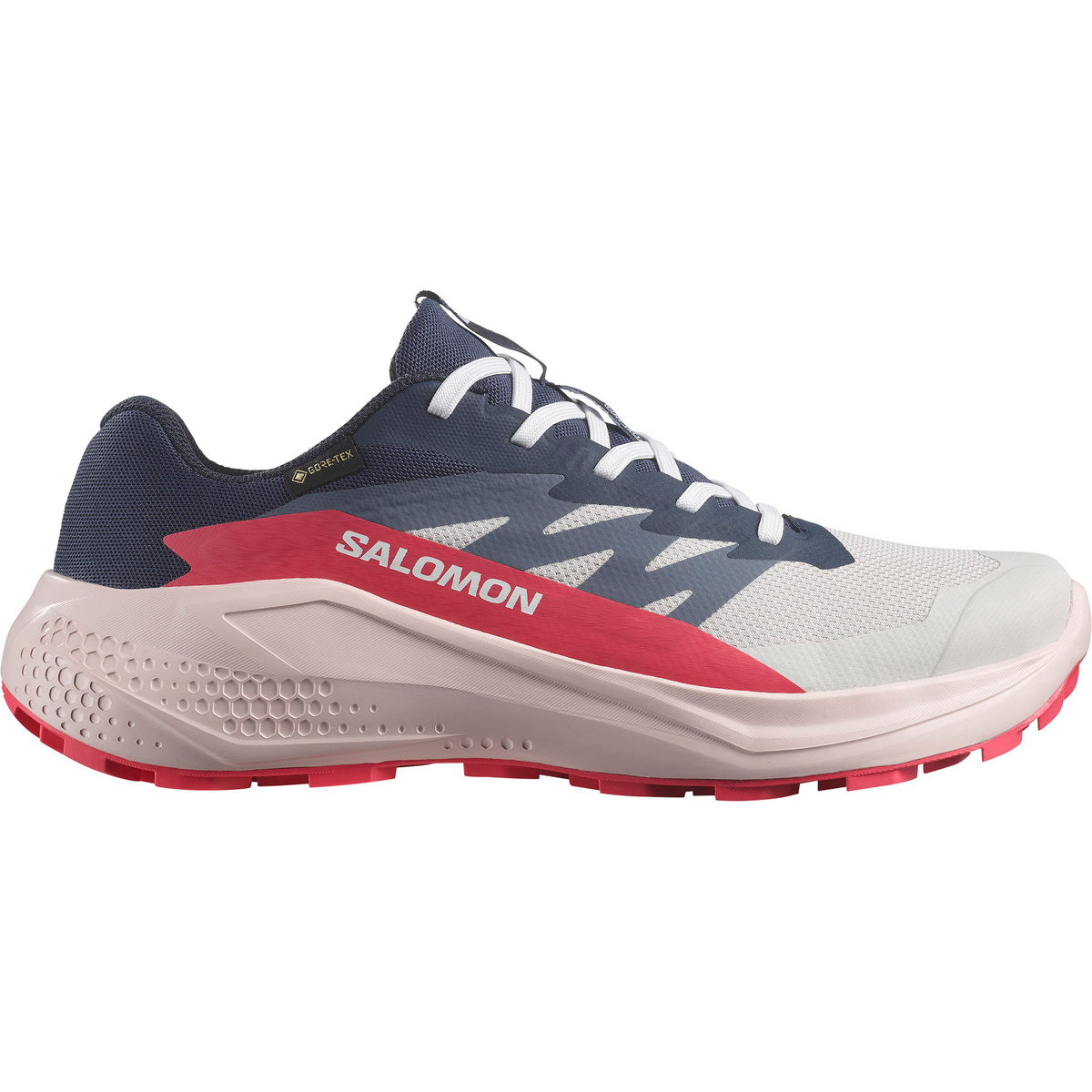Salomon Damen Alphaglide GTX Schuhe