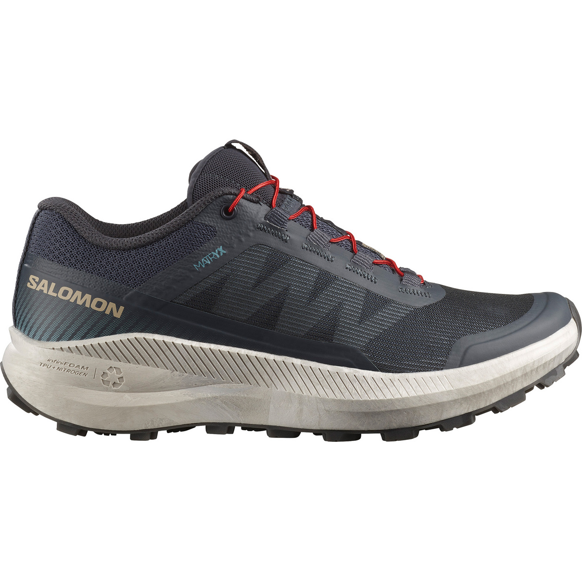 Salomon Vision Schuhe