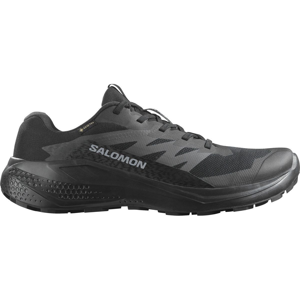 Salomon Herren Alphaglide GTX Schuhe
