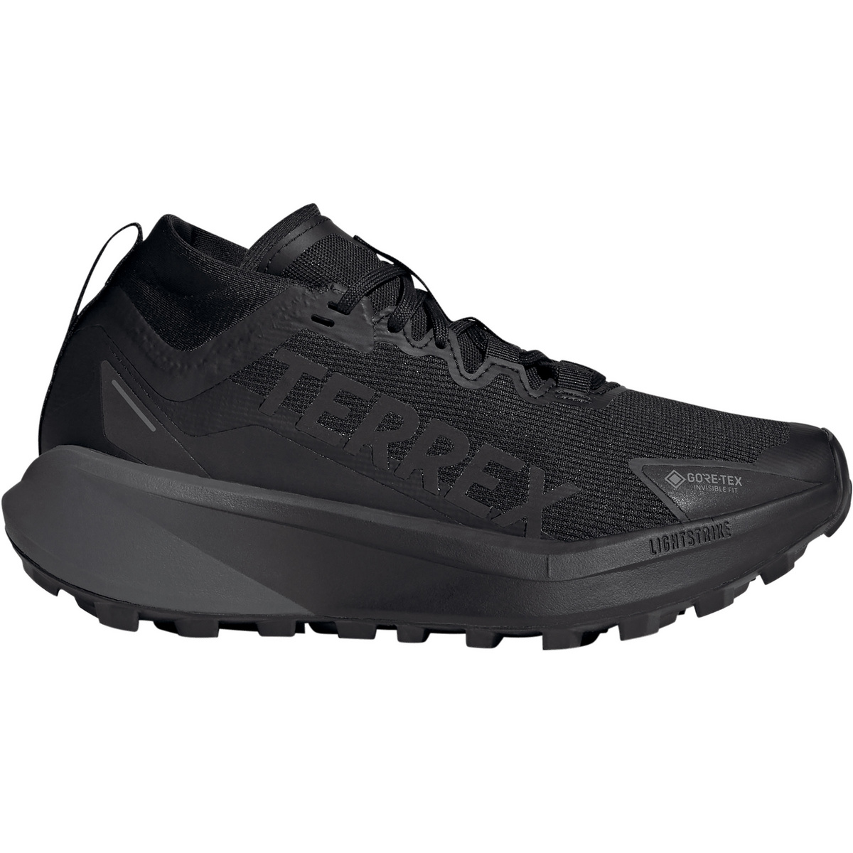 adidas Terrex Damen Agravic GTX Schuhe