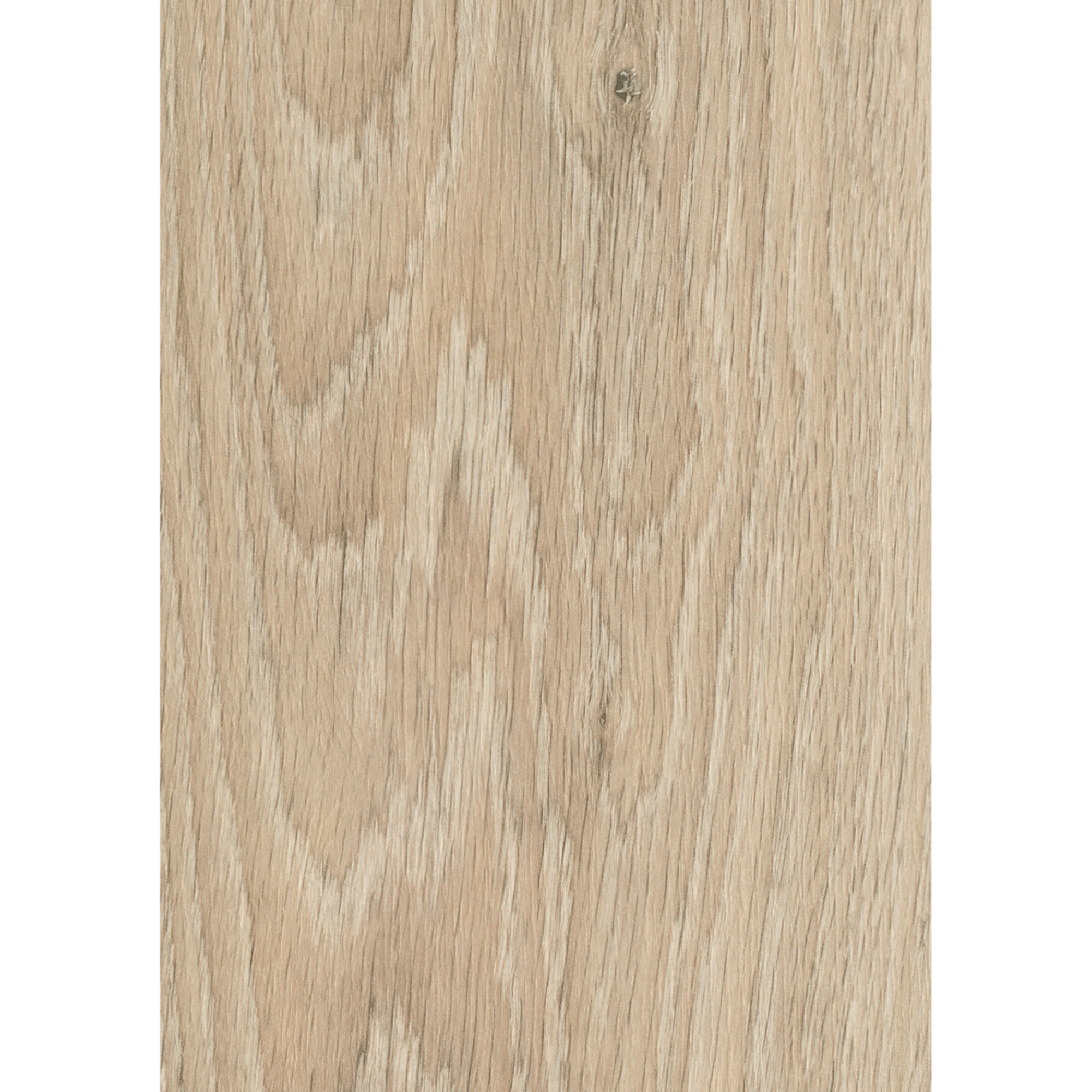 Laminat 'Premium Toast Pistachio Oak' eichefarben 7 mm