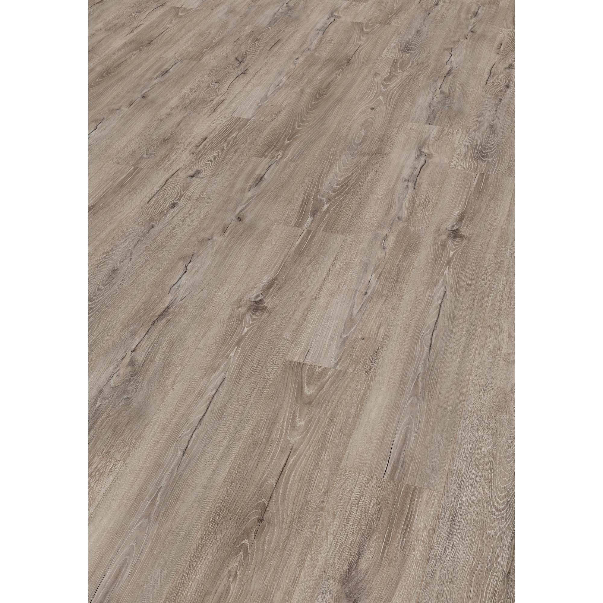 EGGER Laminat 'NatureSense' EL2010 Melba Eiche grau 7 mm