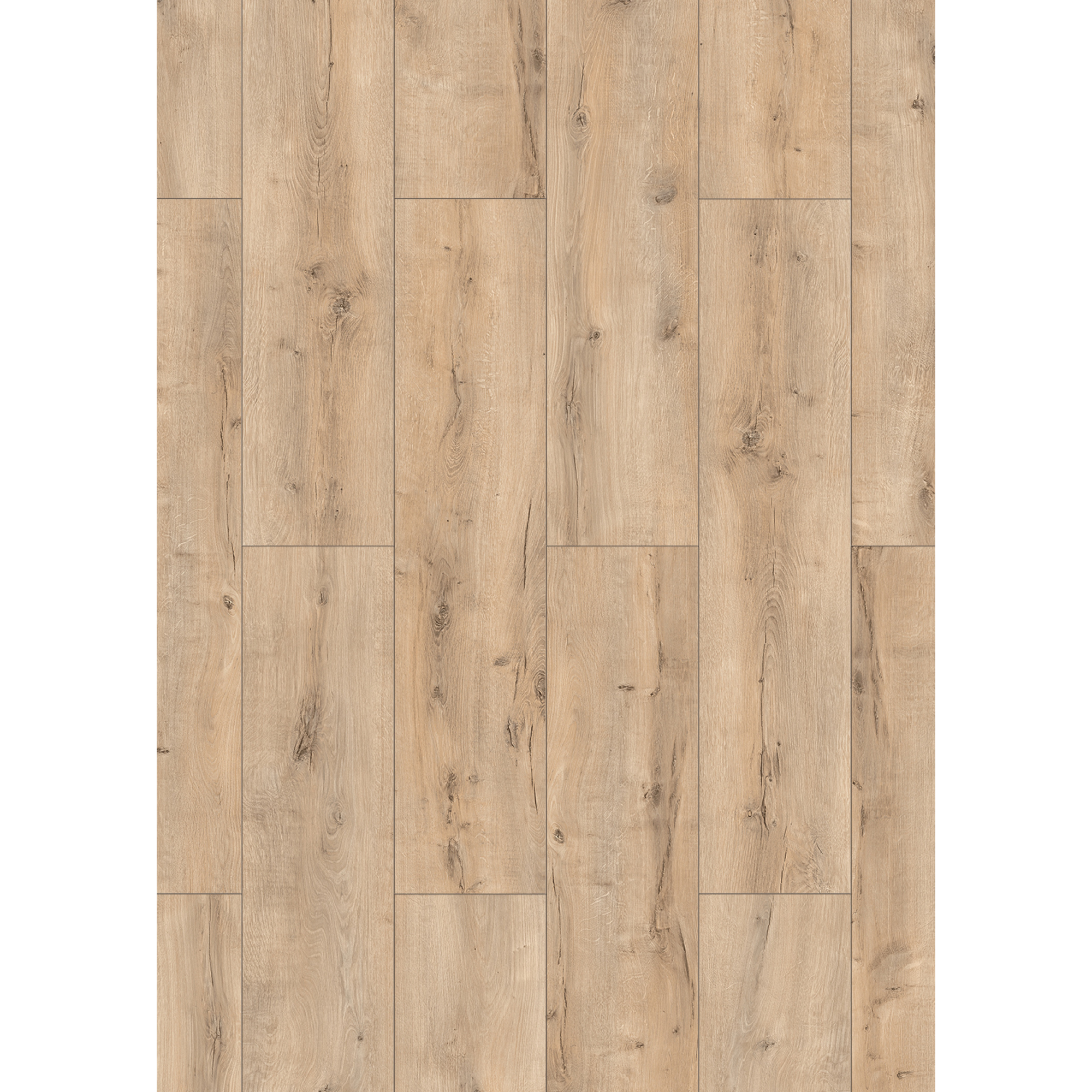 Classen Laminat '832-4' Eiche rustikal beige 8 mm