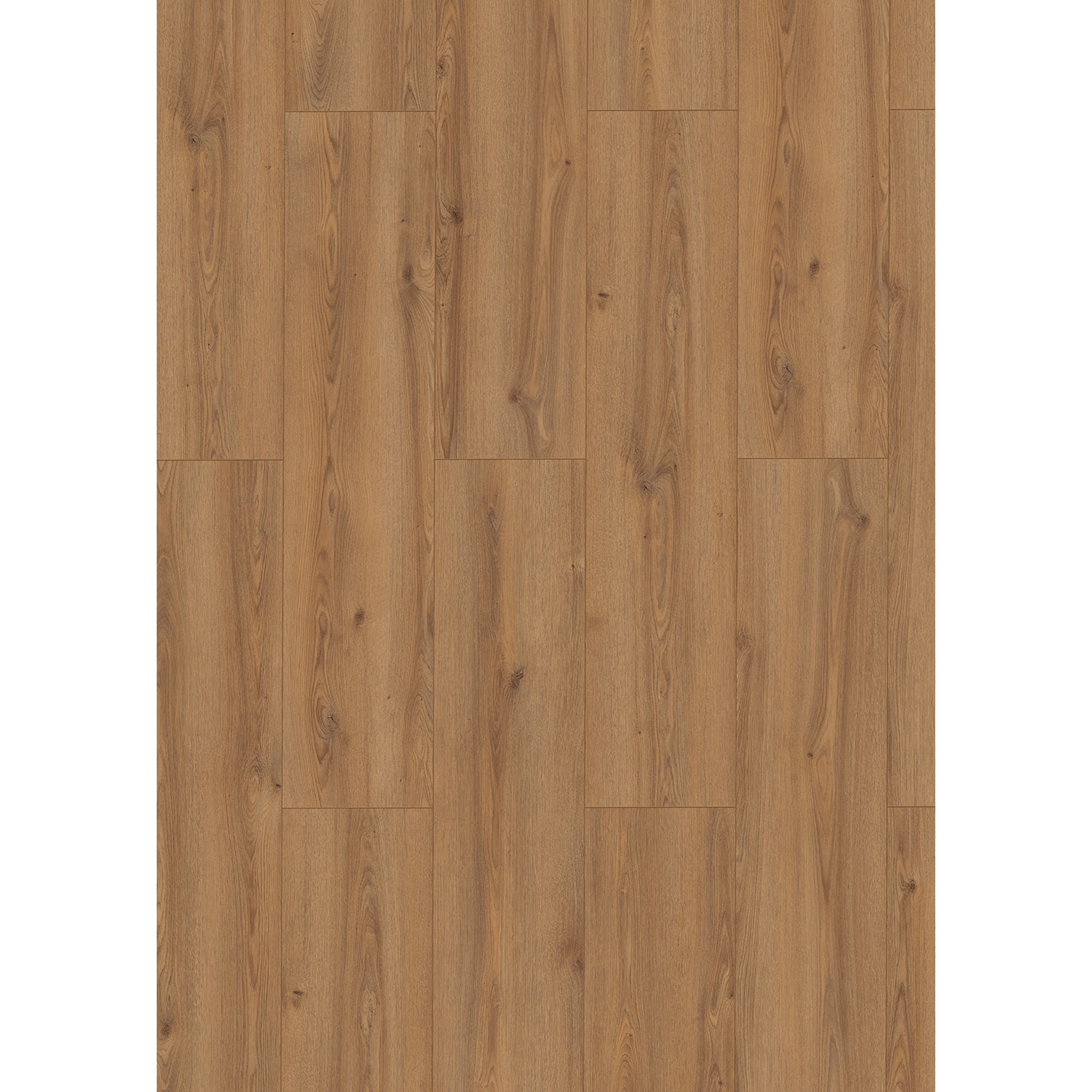 Classen Laminat '832-4' Brookside Eiche natur wasserresistent 8 mm