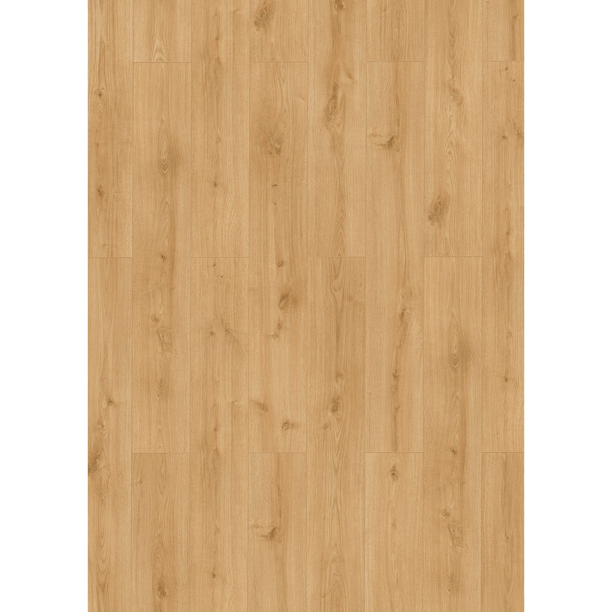 Classen Laminat '832-4' Stonebridge Eiche hellbraun wasserresistent 8 mm