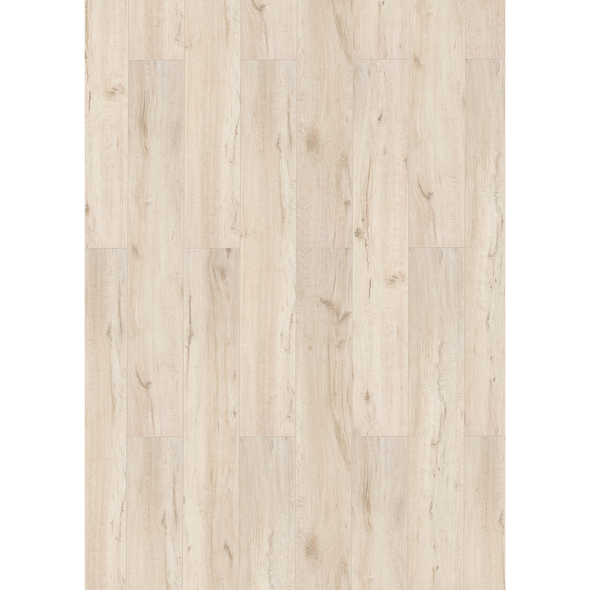 Classen Laminat '832-4 XL' Eiche weiß 8 mm