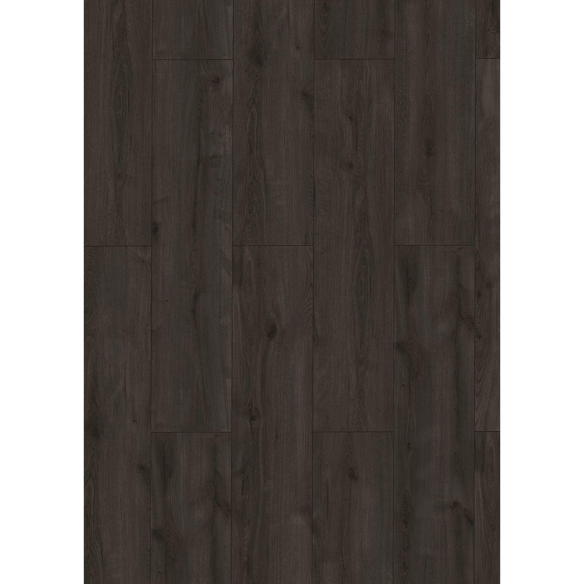 Classen Laminat '833-4 XL' Santos Eiche schwarz wasserresistent 8 mm