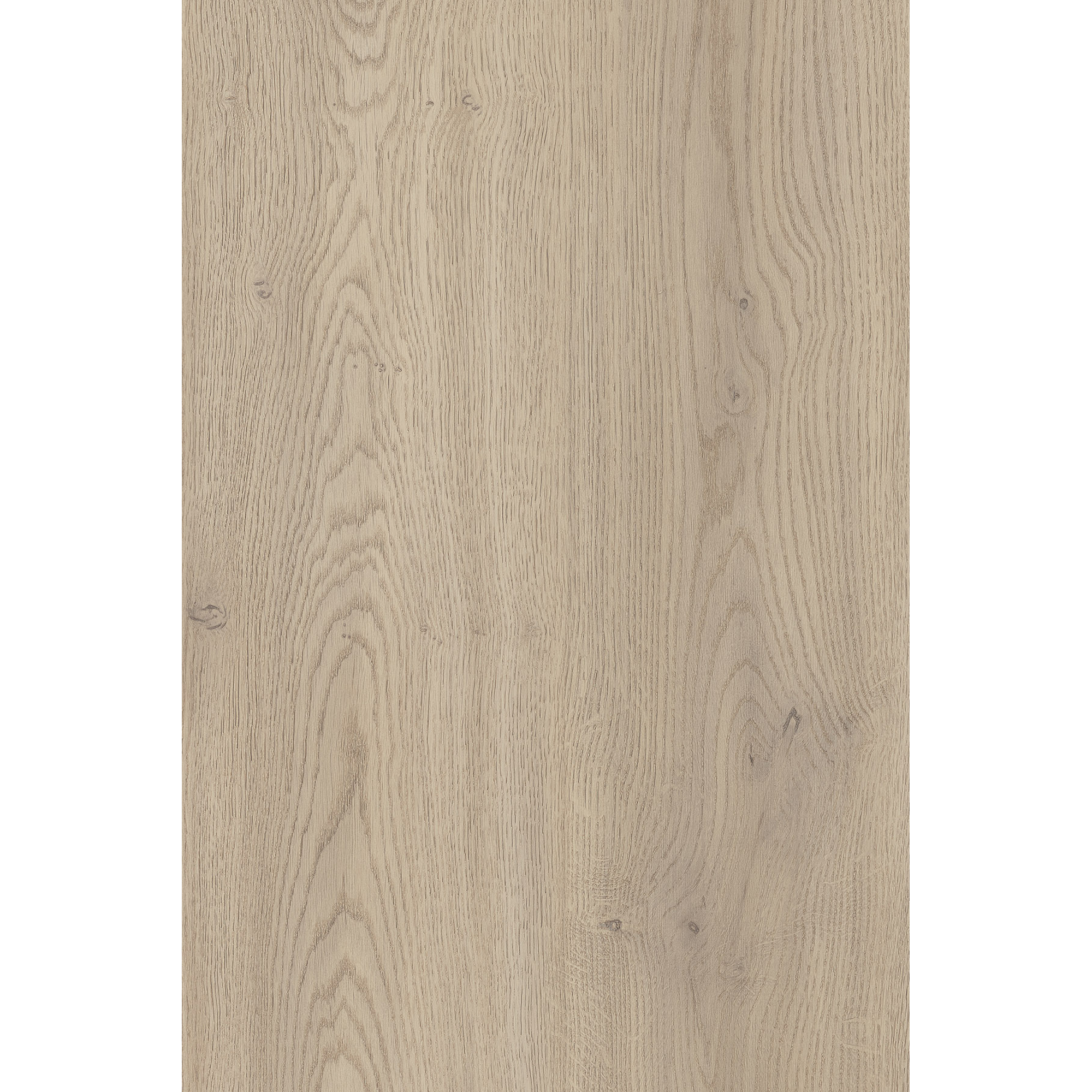 Kronoflooring Laminat 'Premium' Eiche Cotta 8 mm