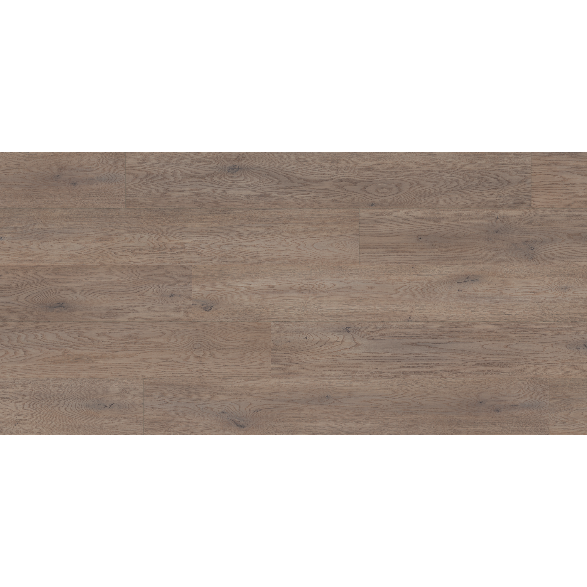 Kronoflooring Laminat 'Premium' Eiche Cannolo 8 mm