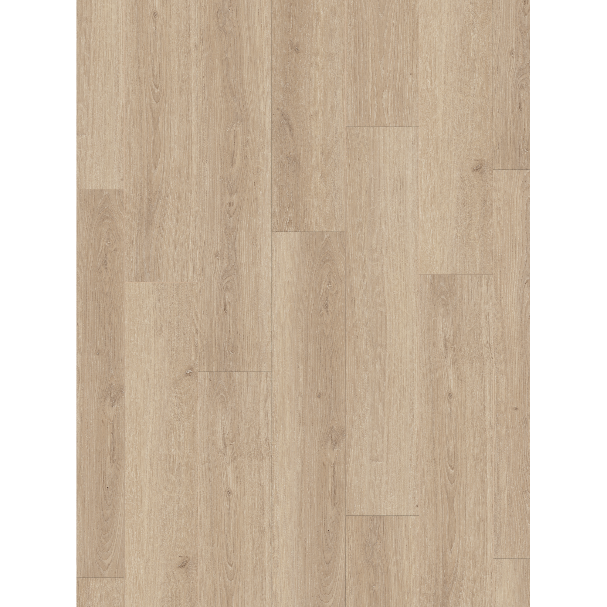 Parador Laminat 'Basic 600' Eiche Studioline natur 8 mm