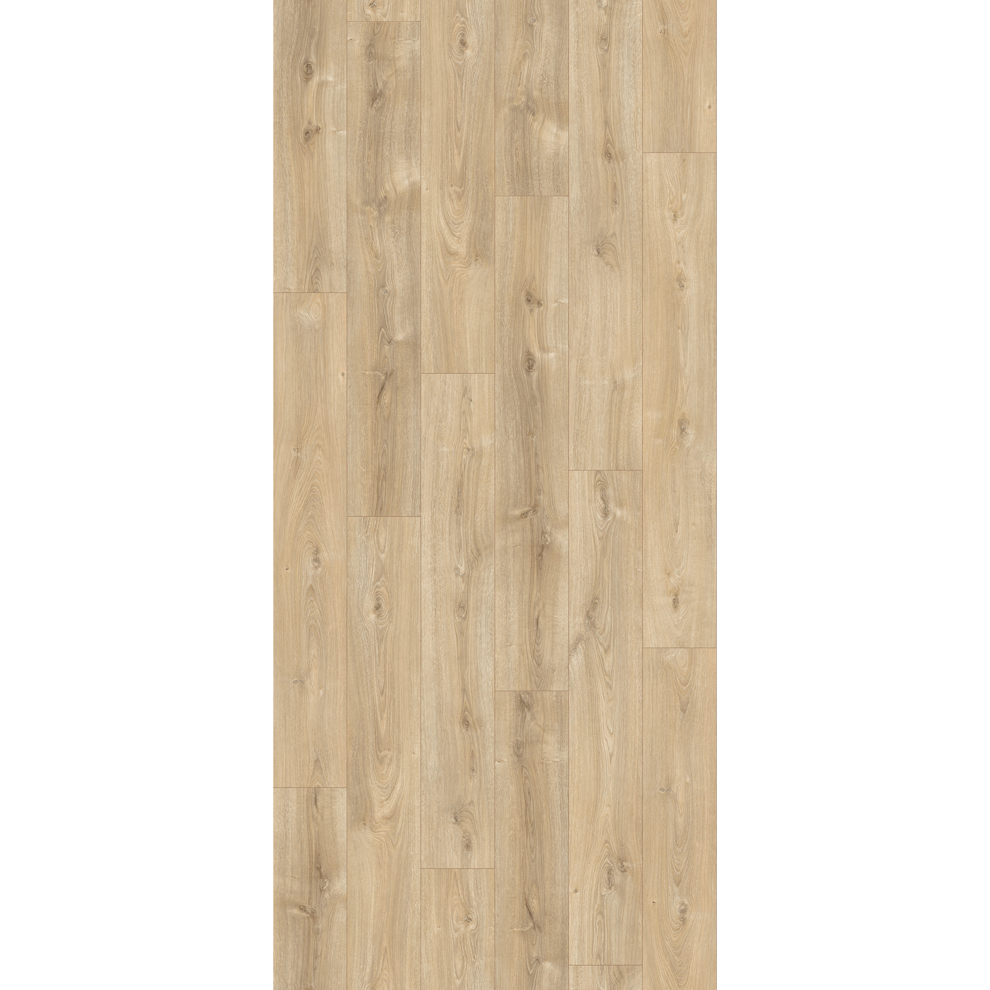 Parador Laminat 'Basic 200' Eiche Nova hell gekälkt 7 mm