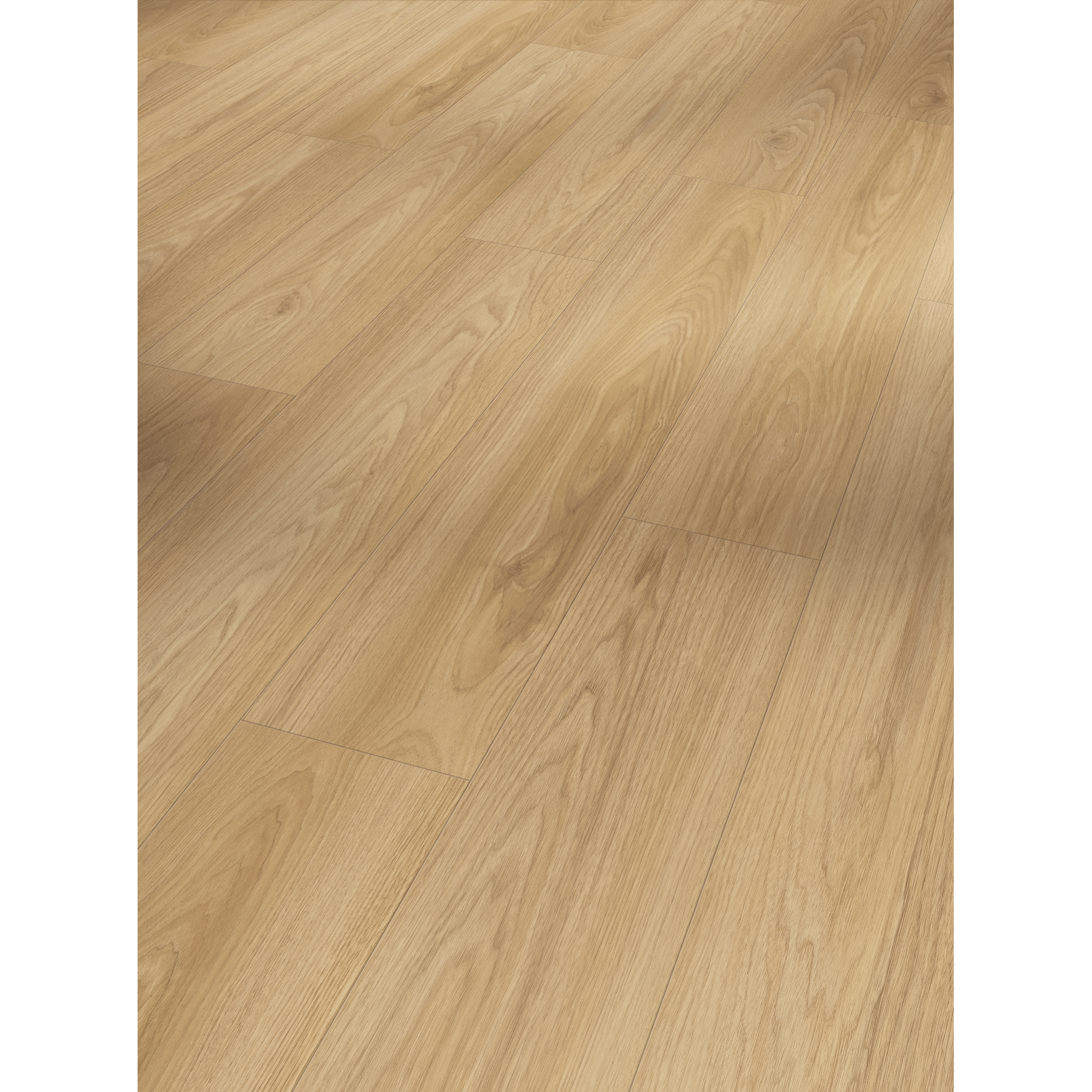 Parador Laminat 'Basic 400' Hickory seidenmatt  braun 8 mm