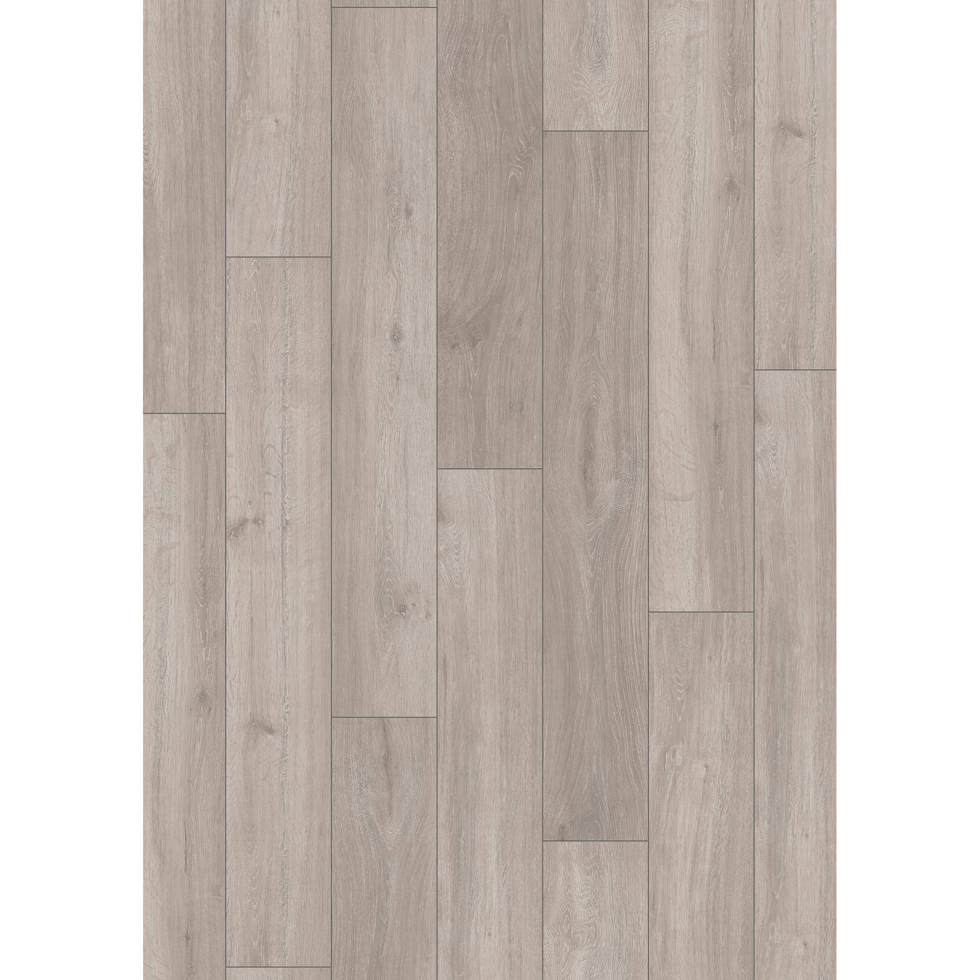 Kronoflooring Laminat 'Rockford Oak' eichefarben grau 8 mm