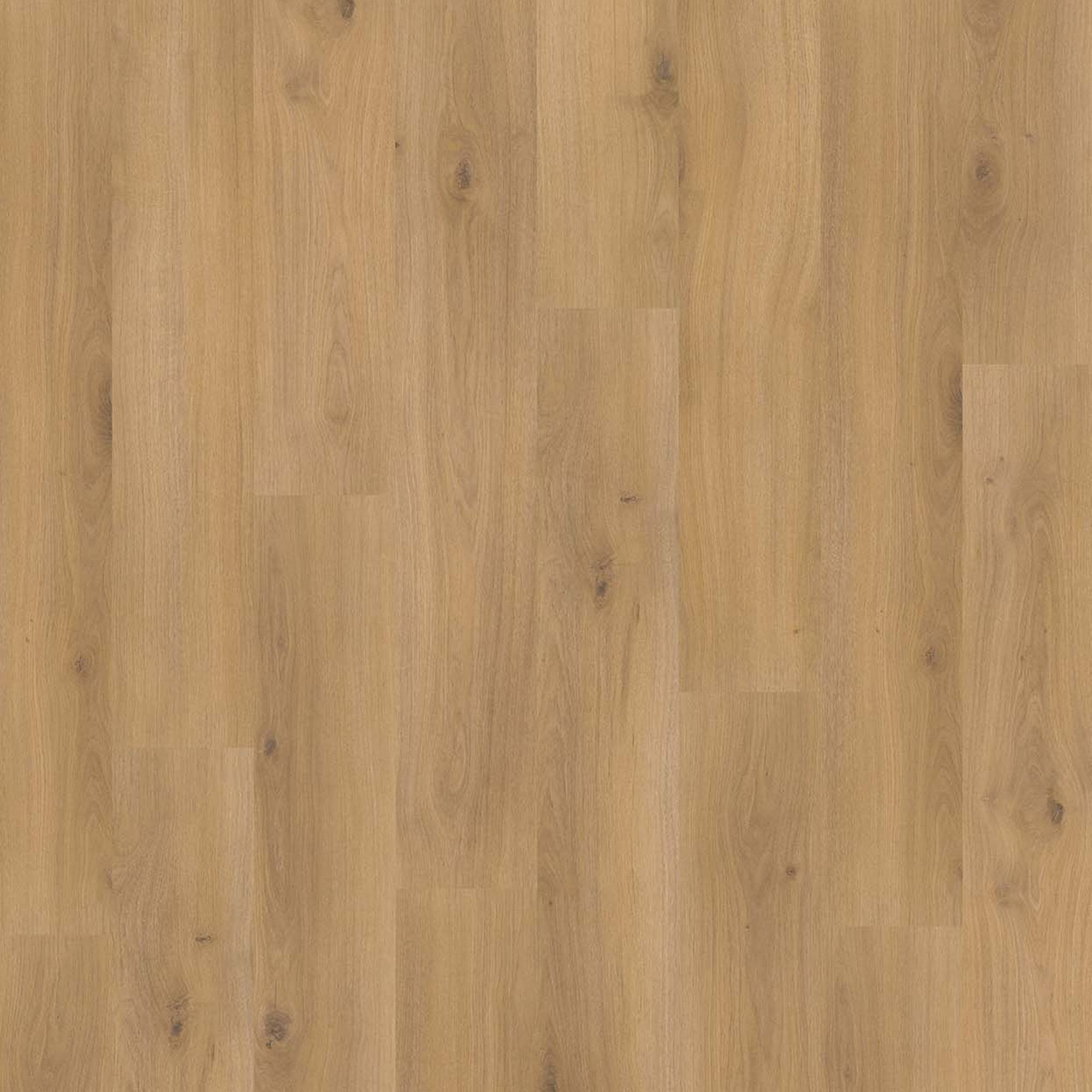 Parador Laminat 'Basic 400' Eiche Horizont Natur eichefarben 8 mm