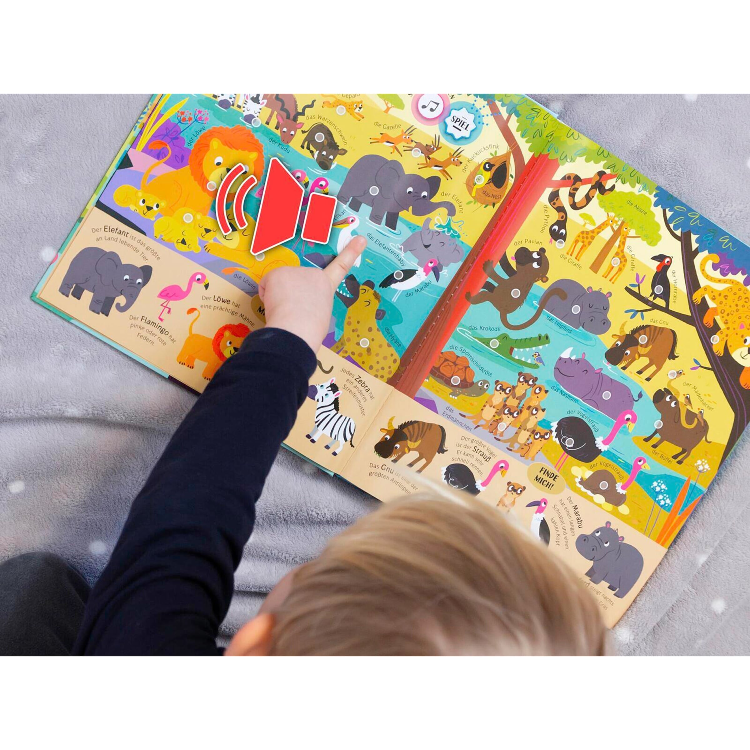 Arsedition Mein riesengroßes Soundbuch - Tiere