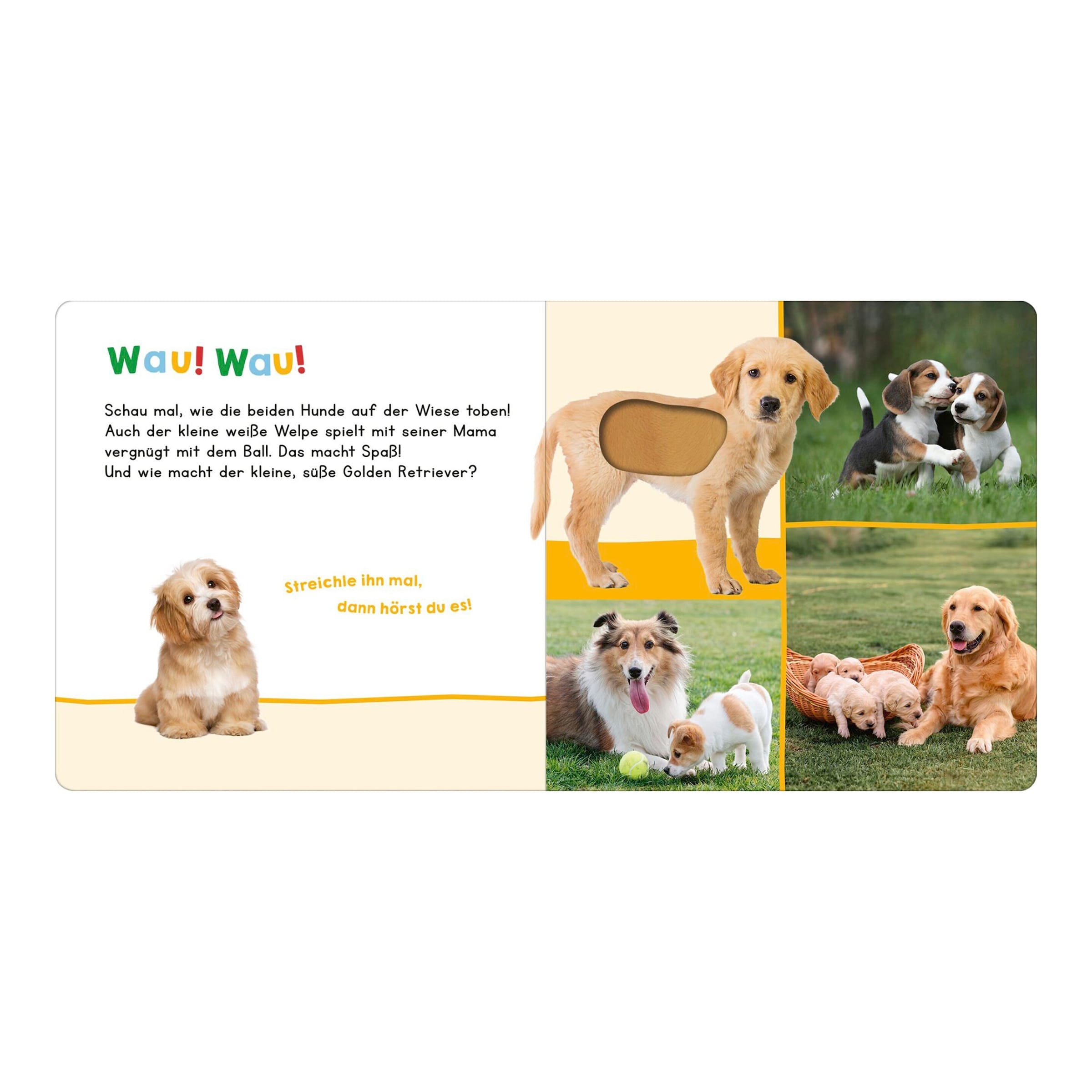 Arsedition Soundbuch Hör mal rein, wer kann das sein? - Meine ersten Tiere