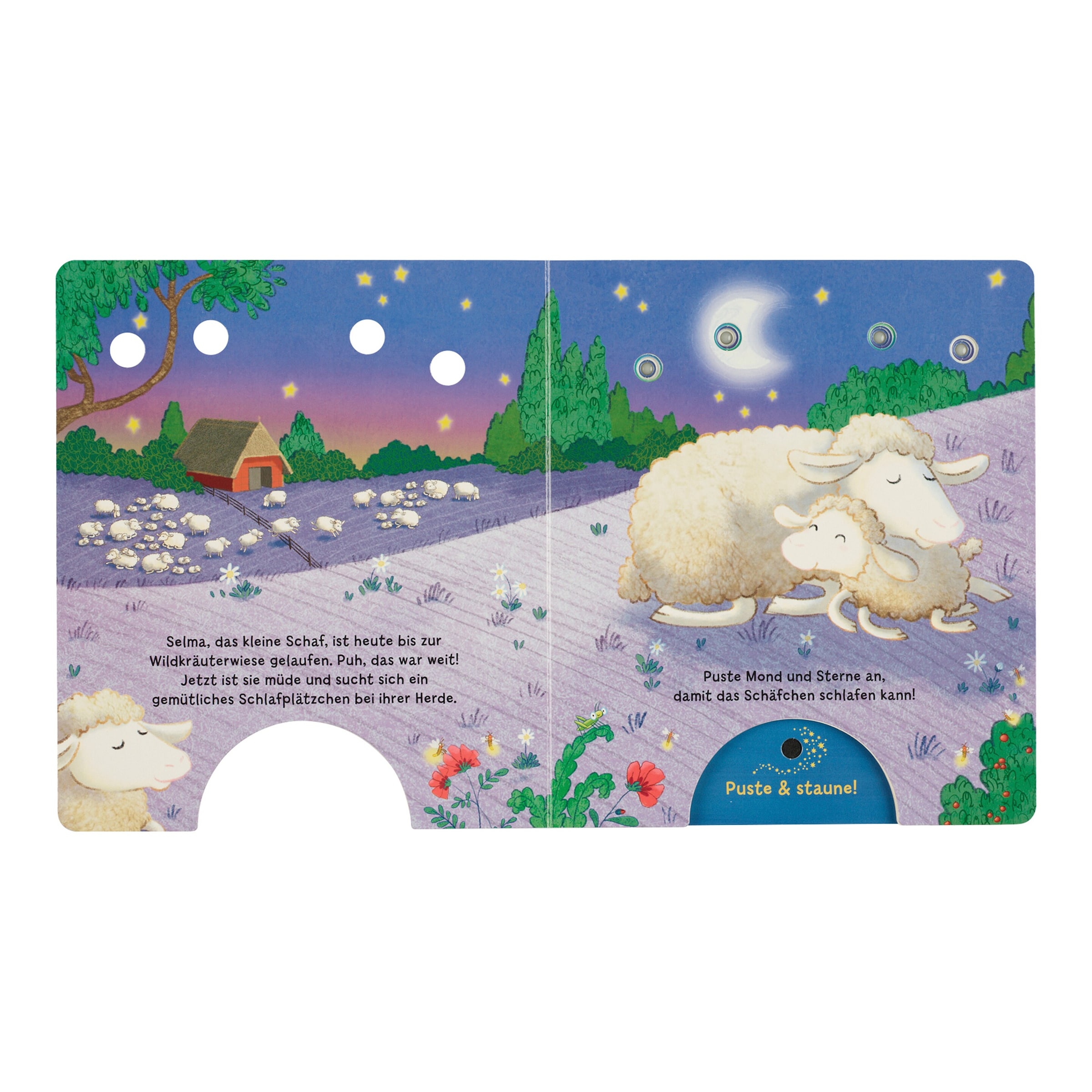 Thienemann-Esslinger Mein Puste-Licht-Buch - Ein Sternlein wacht in dunkler Nacht