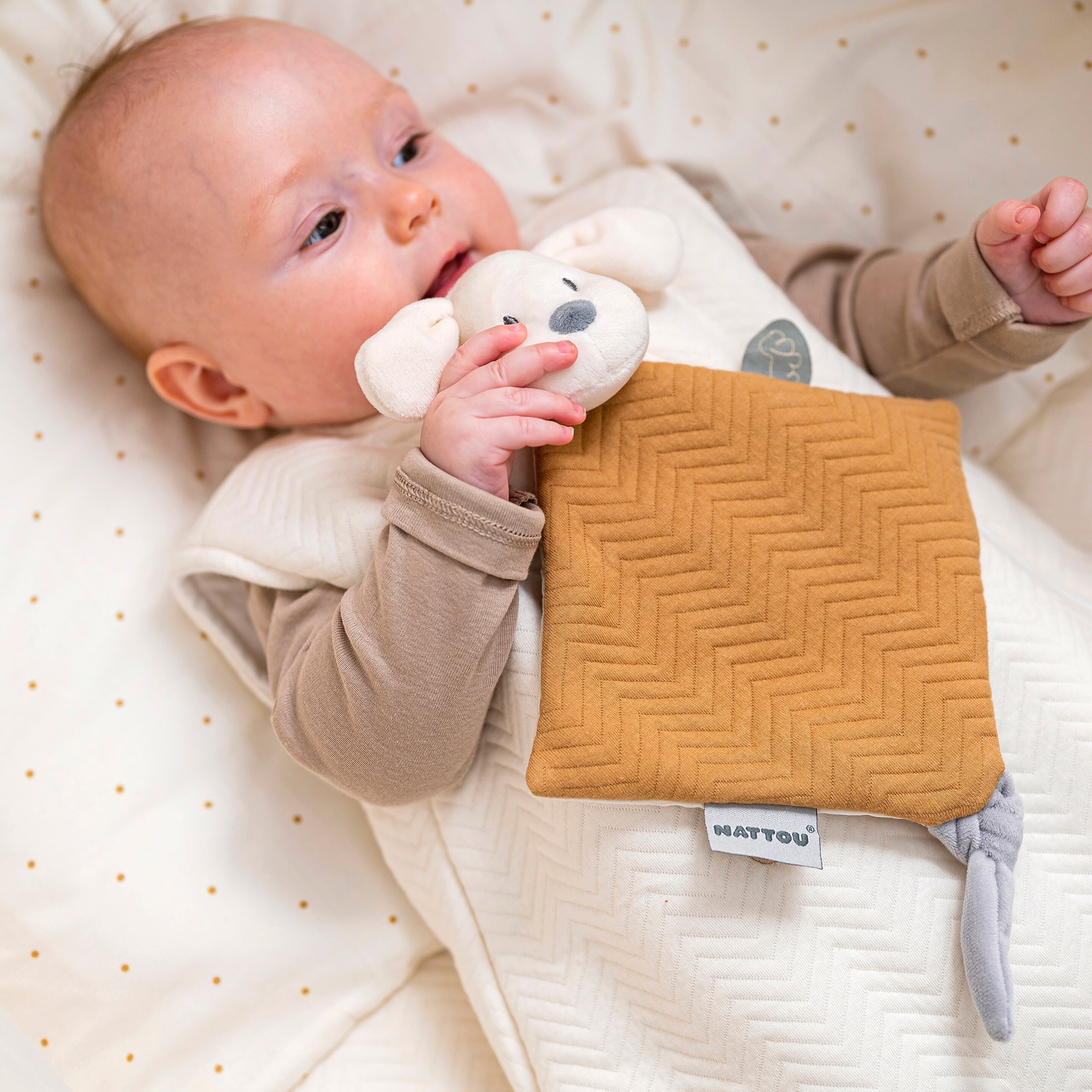 Nattou Schmusetuch Hund Charlie