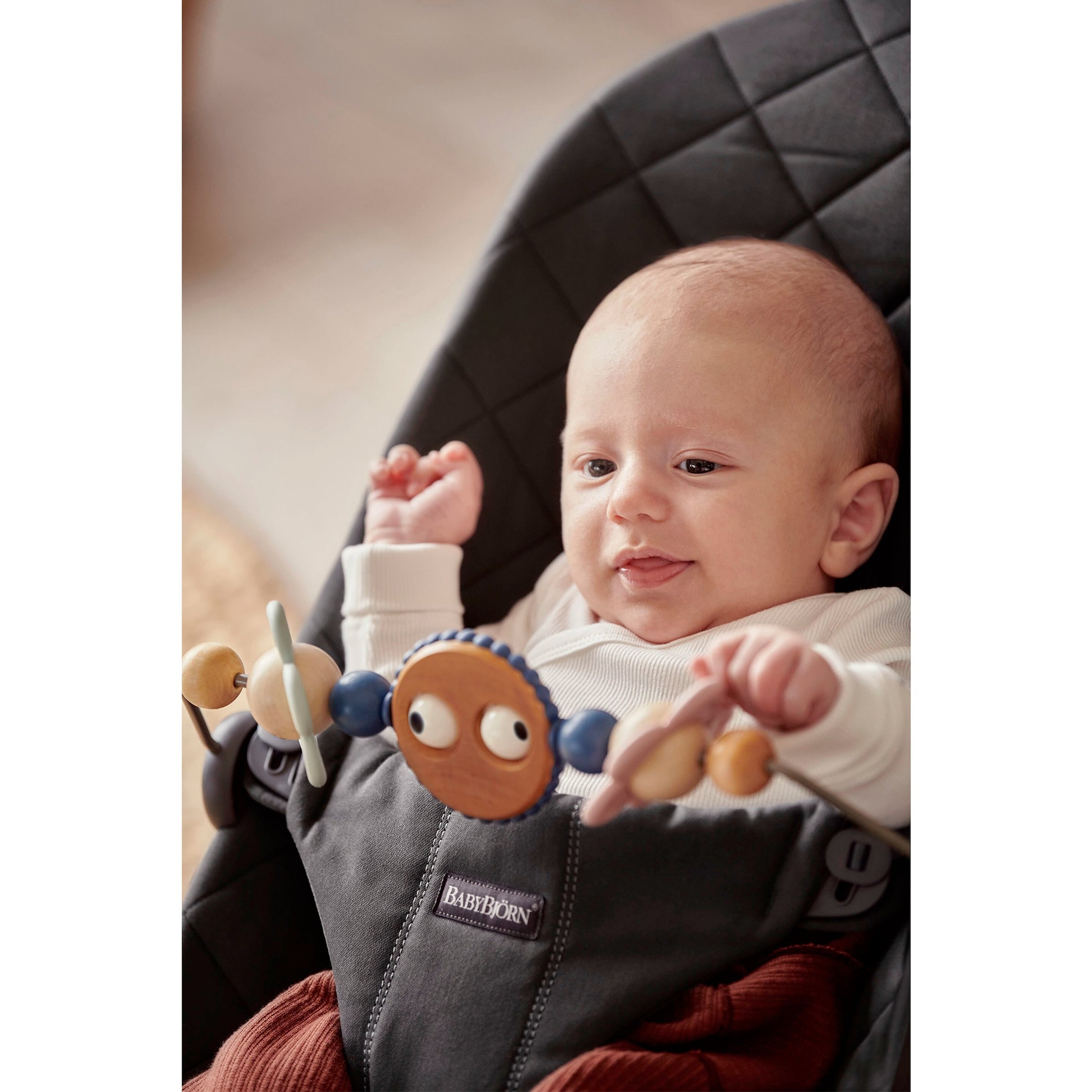 Babybjörn Spielbügel für Babywippe