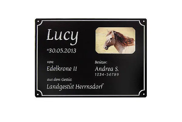 Pferdeboxenschild - individuelles Geschenk für Pferdefreunde