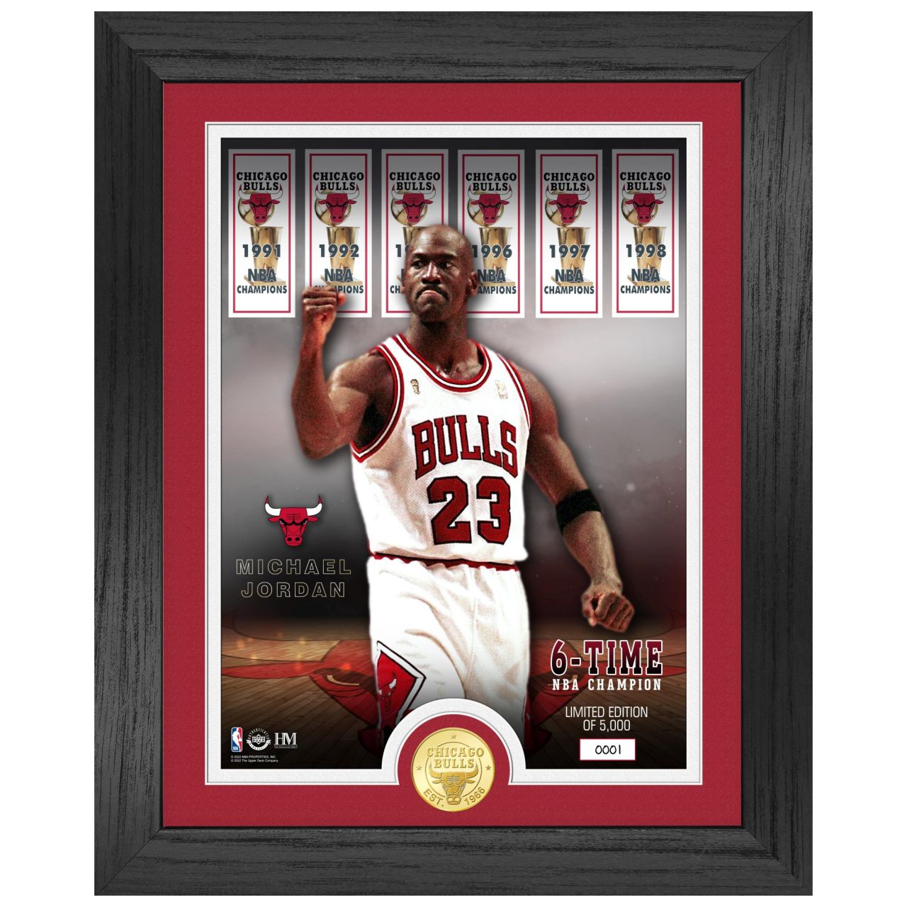 Michael Jordan Chicago Bulls NBA Champion Coin Bild
