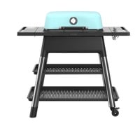 FORCE Gasgrill, Mint