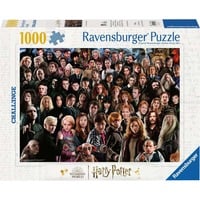 Puzzle Challenge Harry Potter