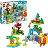 10446 DUPLO Town Wildtier-Familien 3-in-1-Set, Konstruktionsspielzeug